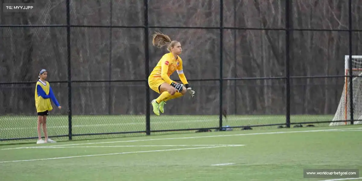 我们的核心竞争力